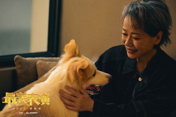 查查配官网 2025最美表演：以爱之名，勇敢前行